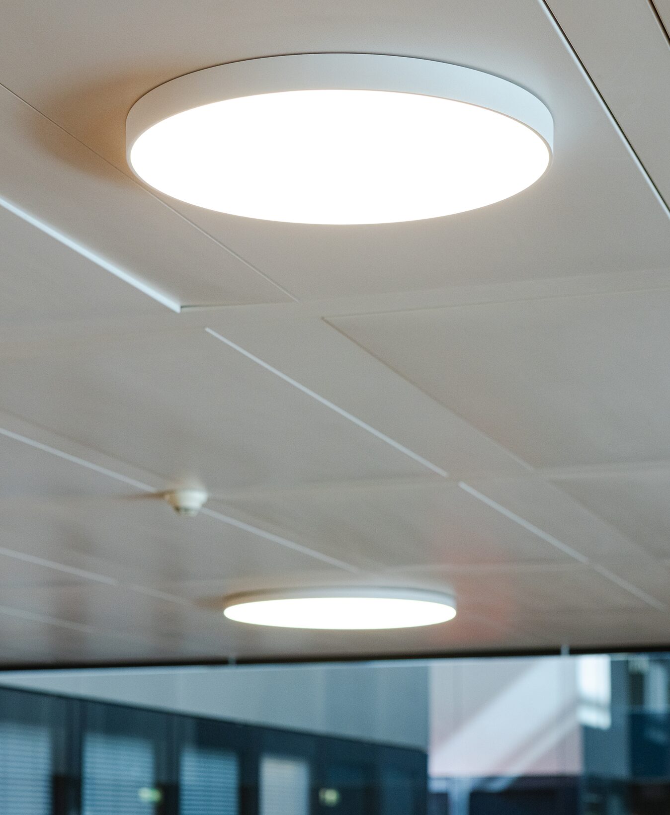 camcom Bolzano via alto adige - Bressan Lighting illuminazione interni uffici soffitto